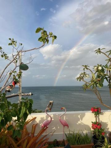 Pierview Rooms Hua Hin Dış mekan fotoğraf